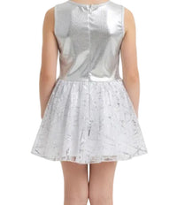 Silver and White Dress