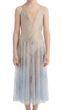 Silver Sleevless Dress