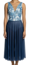 Blue and White Lyrical Dress