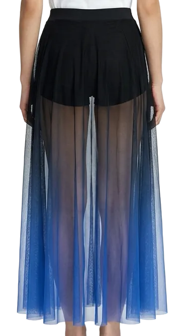 Ombre Skirt
