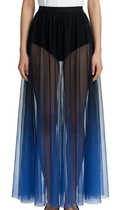 Ombre Skirt
