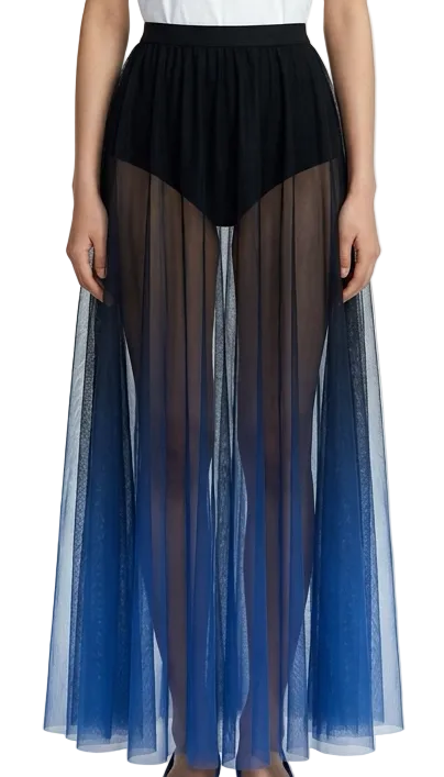 Ombre Skirt