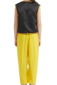 Genie Pants and Vest