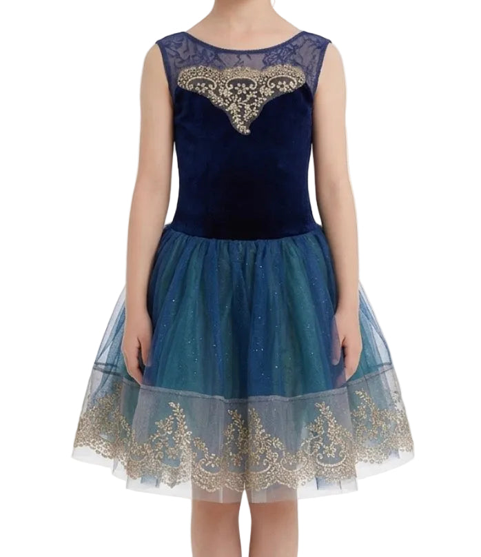 Blue and Gold Dress