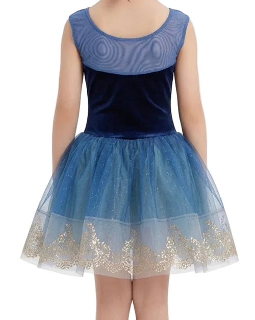 Blue and Gold Dress