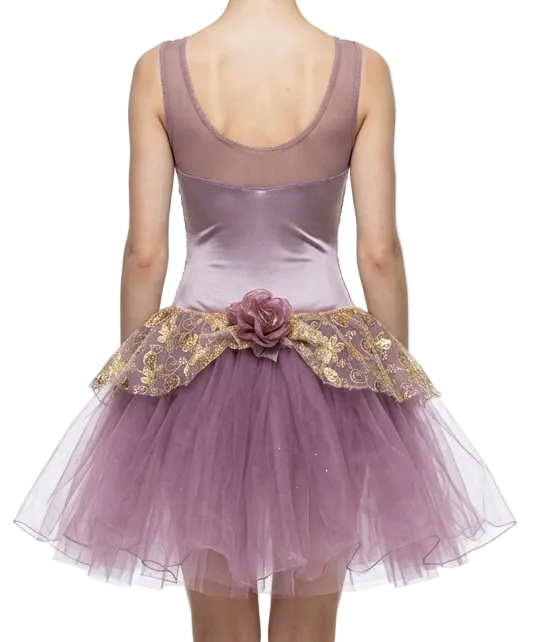 Light Purple and Gold Ballet Dress