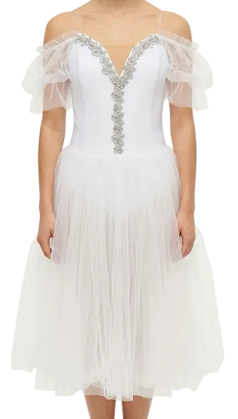White and Silver Ballet Dress