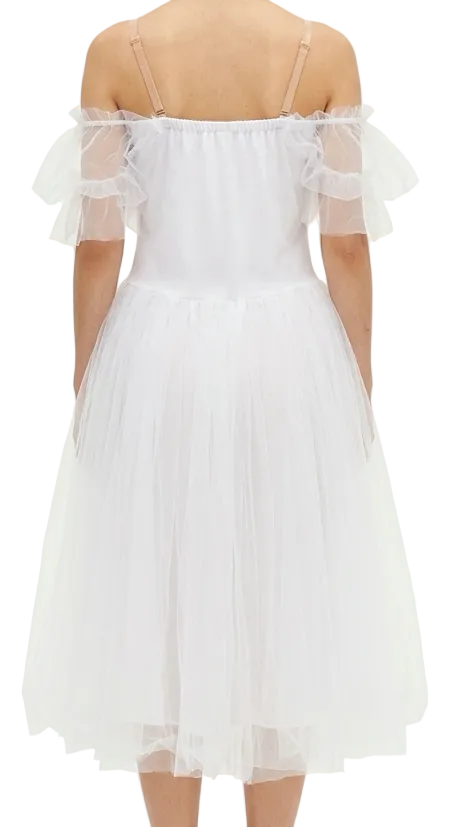 White and Silver Ballet Dress