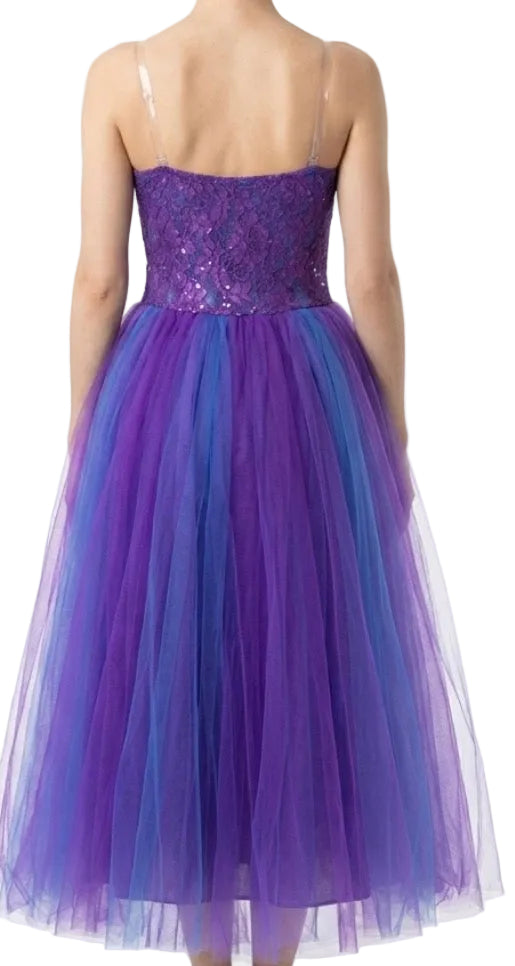 Blue and Purple Ballet Dress - CamelDance