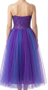 Blue and Purple Ballet Dress - CamelDance