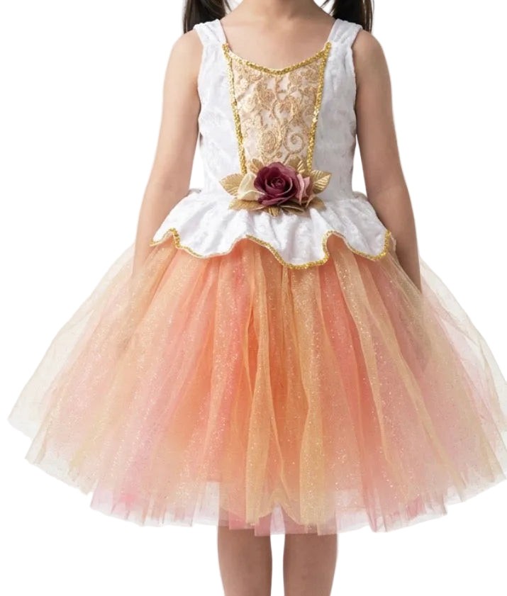 Rose and Yellow Romantic Tutu - Costume Gallery
