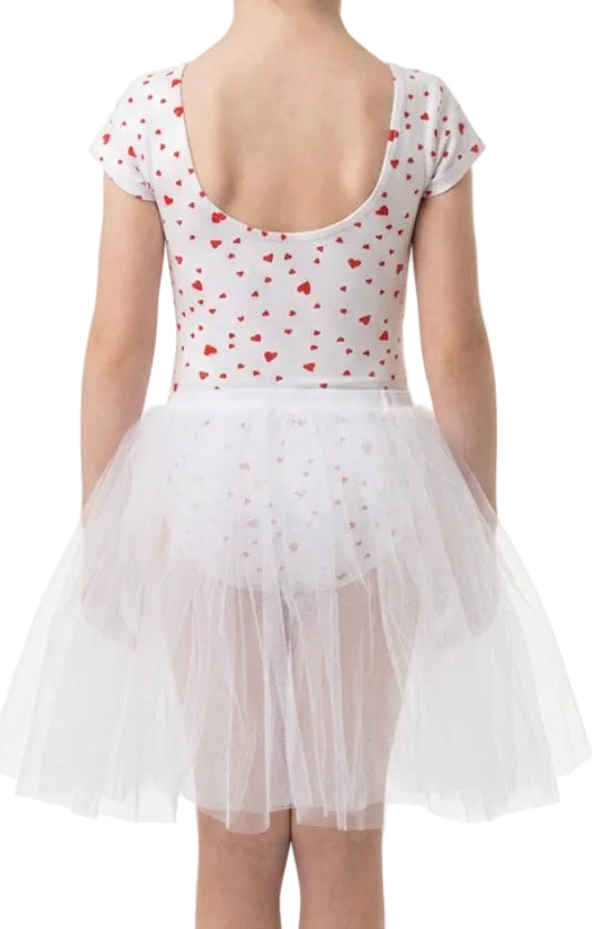 Heart Leotard and Tulle Skirt - CamelDance
