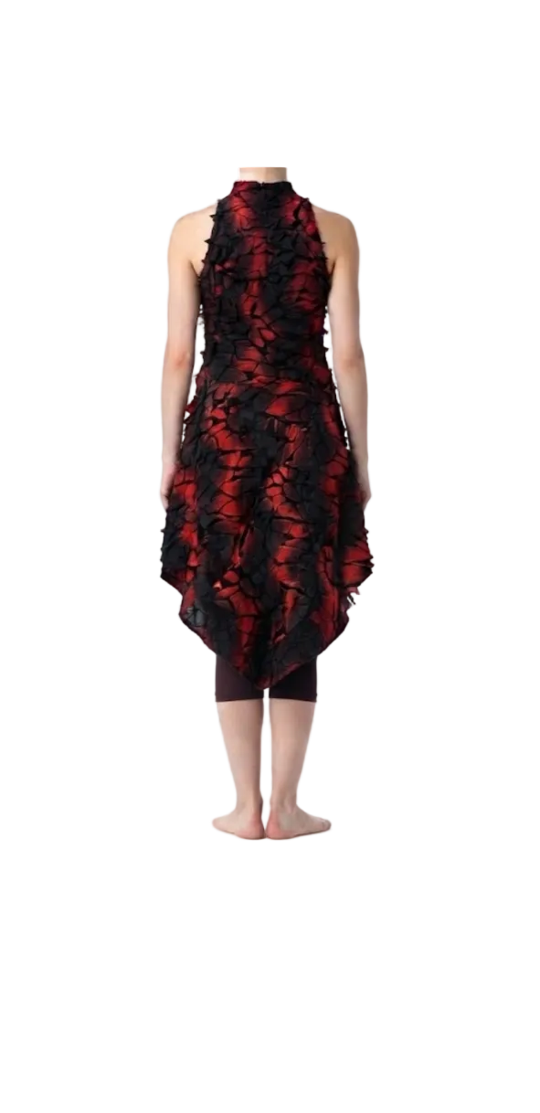 The Red Cinder High Low Dress