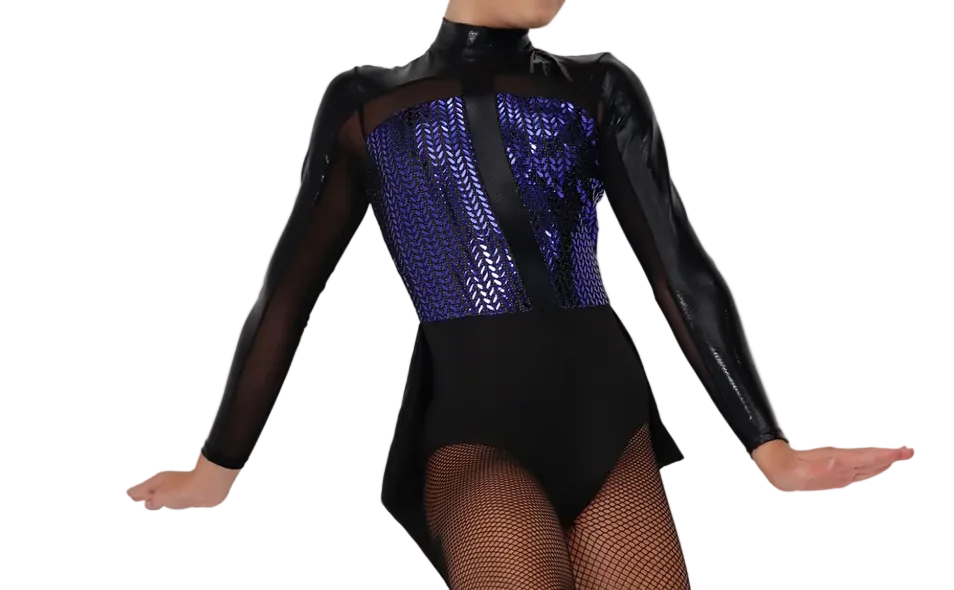 Sass - Blue/Purple and Black Leotard